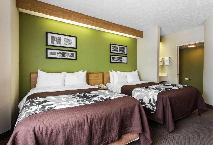 Номер Стандарт 2 Двуспальные Кровати, Surestay By Best Western Summerville Flowertown