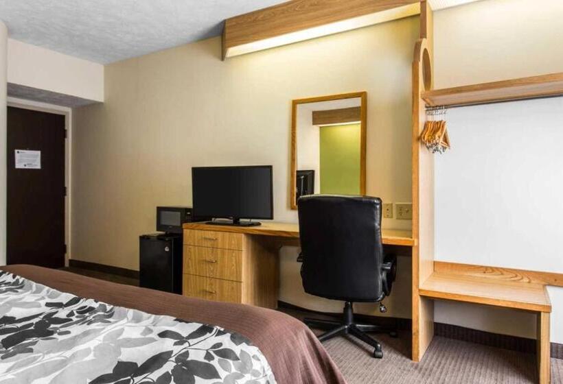 Стандартный Номер Кровать Кинг, Surestay By Best Western Summerville Flowertown
