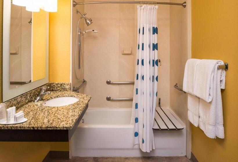 استودیوی استاندارد, Towneplace Suites By Marriott Anaheim Maingate Near Angel Stadium