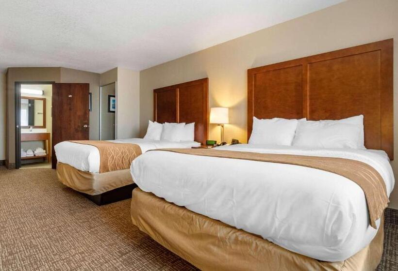 Номер Стандарт, Comfort Inn & Suites South Hill I85