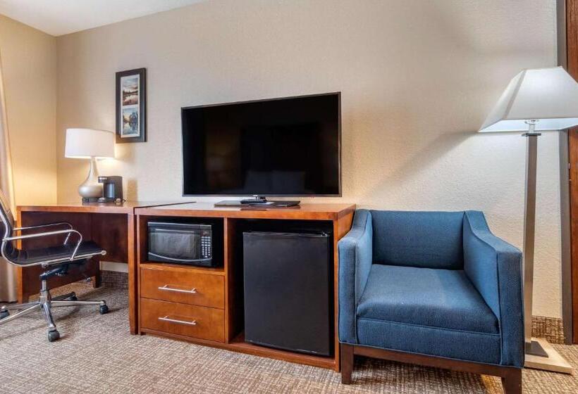 Номер Стандарт Адаптированный для Инвалидов, Comfort Inn & Suites South Hill I85