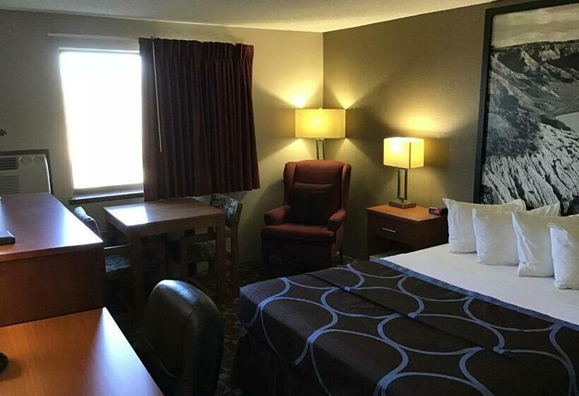 اتاق استاندارد با تخت بزرگ, Super 8 By Wyndham Miles City