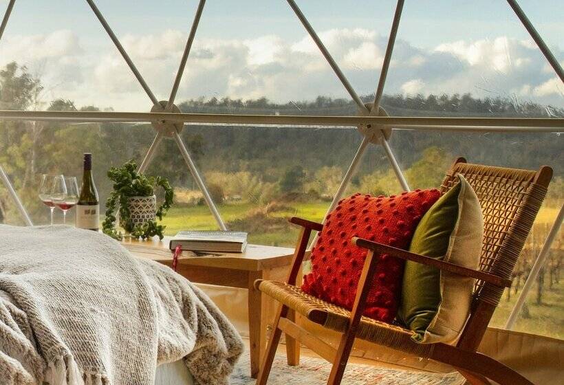 Standard Tent, Domescapes In The Vines