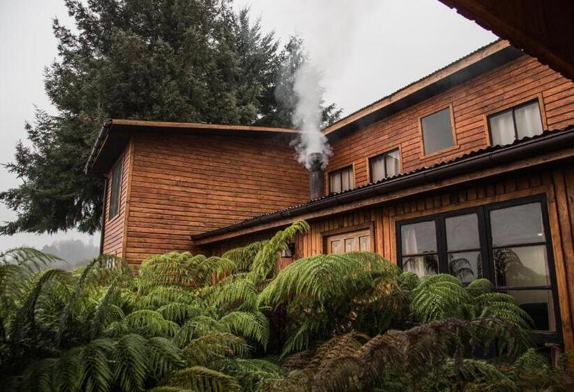 Семейный Номер, Apart Hotel Puchaley Lafquen