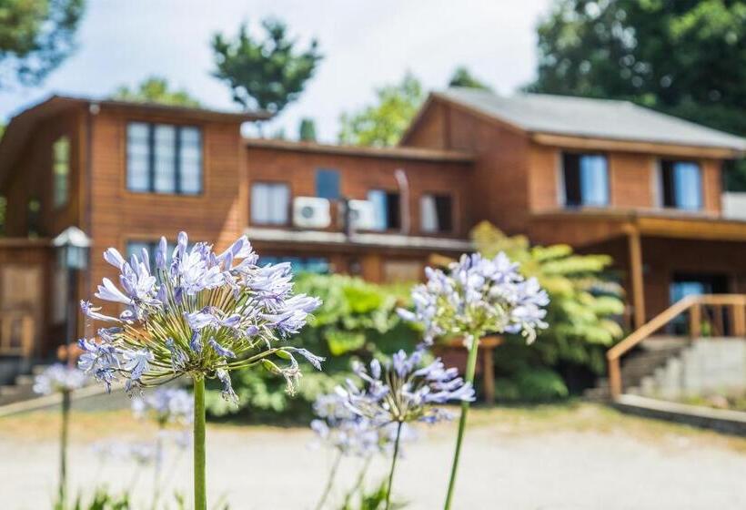 Номер Deluxe с Балконом, Apart Hotel Puchaley Lafquen