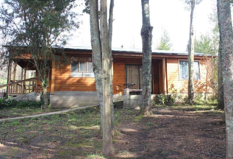 Люкс Вид на Сад, Apart Hotel Puchaley Lafquen
