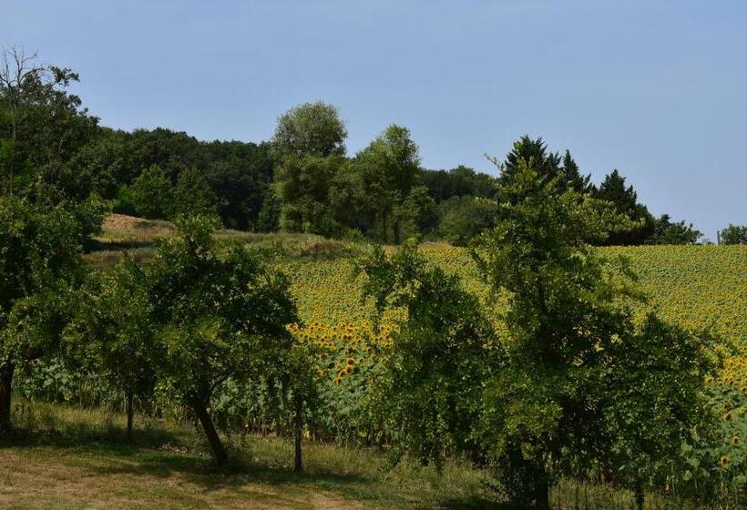 Quarto Estandar Vista Jardim, Domaine De Calbiac
