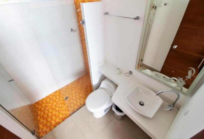آپارتمان 1 خوابه با چشم‌انداز دریا, Apartamentos Palmetto   Frente Al Mar