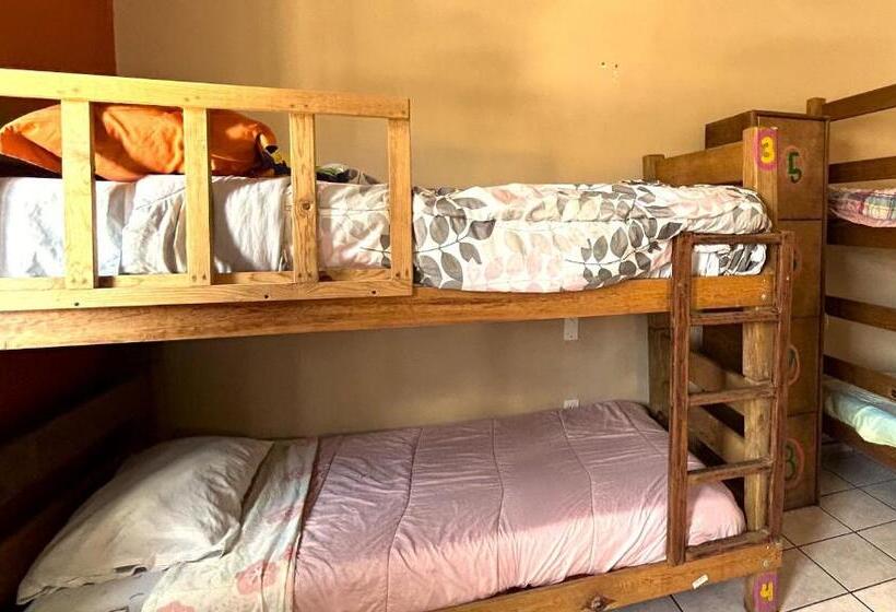 سرير فى غرفة مشتركه, Sofia Hostel Cabo