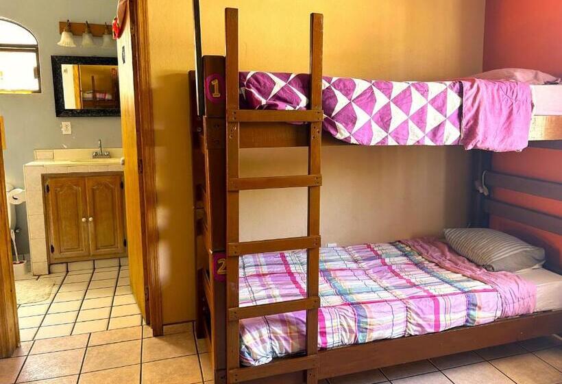 מיטה בחדר משותף, Sofia Hostel Cabo