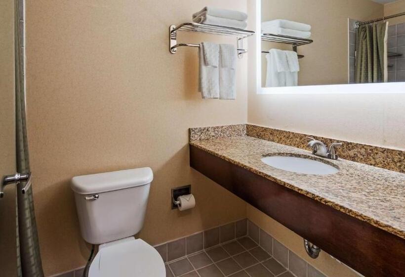 Люкс Адаптированный для Инвалидов, Best Western Plus Hannaford Inn & Suites