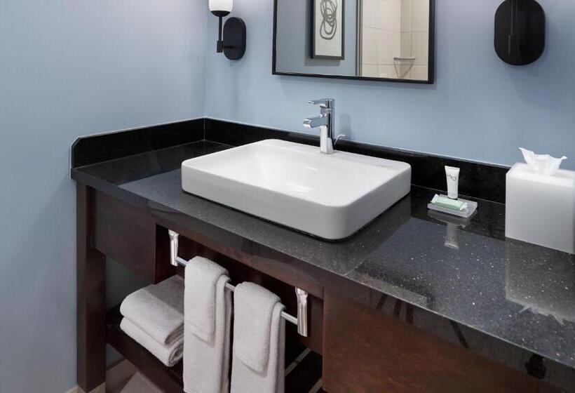 스탠다드 룸, Courtyard By Marriott New Orleans French Quarter/iberville