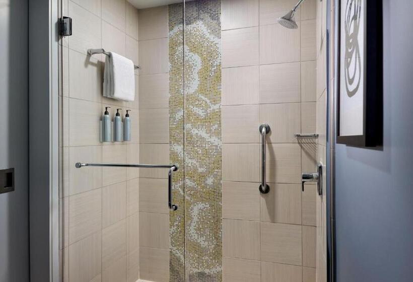 스위트, Courtyard By Marriott New Orleans French Quarter/iberville