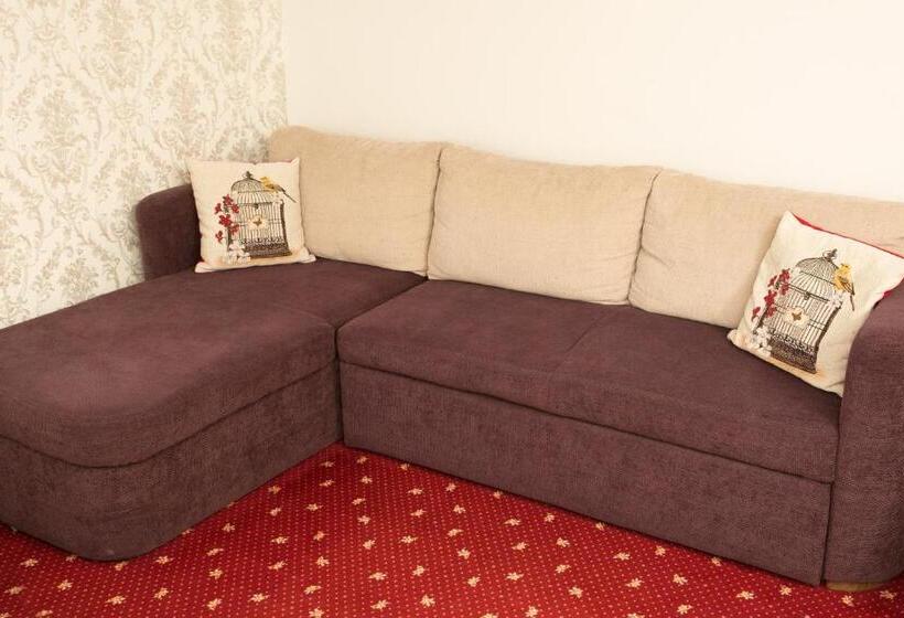 اتاق استاندارد یک نفره, Pensiunea Noblesse