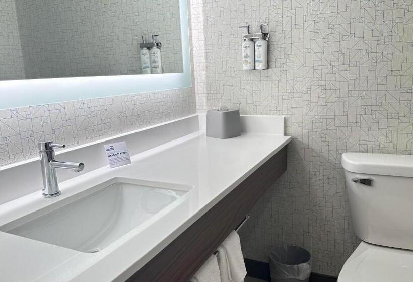 스탠다드 룸, Holiday Inn Express & Suites   Prospect Heights, An Ihg