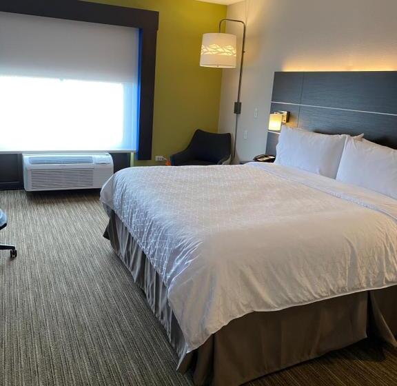 장애인을 위한 킹사이즈 침대 스탠다드 룸, Holiday Inn Express & Suites   Prospect Heights, An Ihg