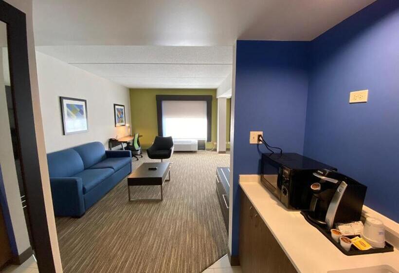 장애인을 위한 스위트, Holiday Inn Express & Suites   Prospect Heights, An Ihg