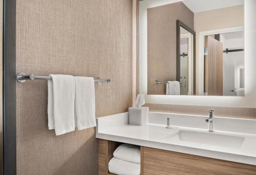 スタンダードスタジオ, Springhill Suites By Marriott Chicago Bolingbrook