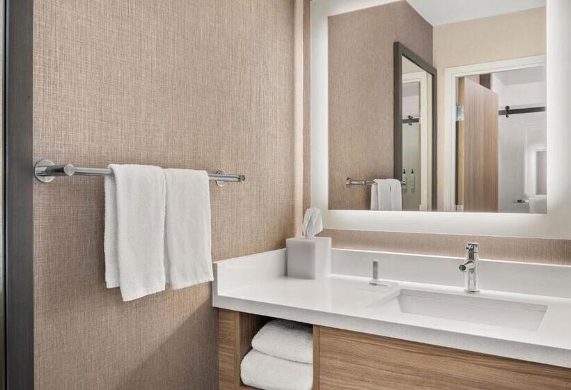 キングサイドベッドのスタンダードワンルーム, Springhill Suites By Marriott Chicago Bolingbrook
