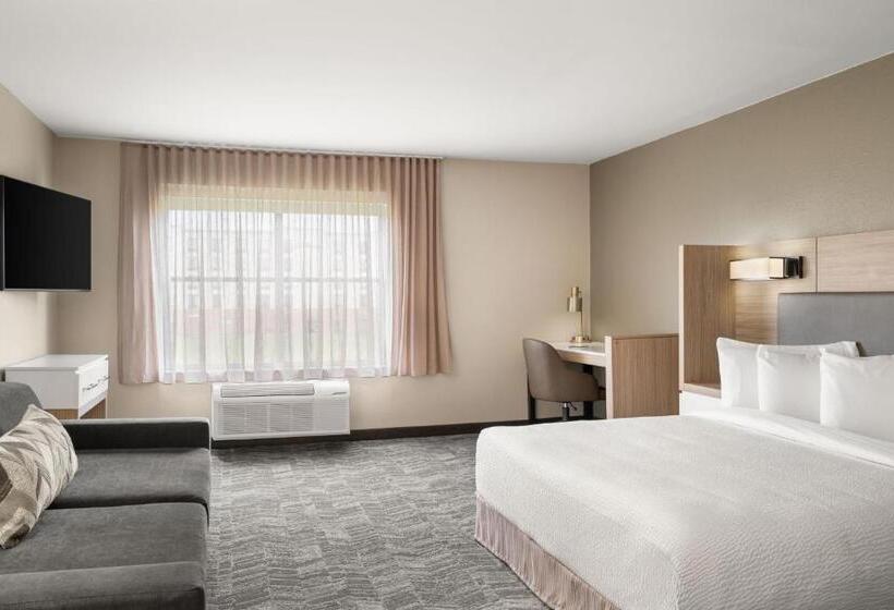 キングサイドベッドのスタンダードワンルーム, Springhill Suites By Marriott Chicago Bolingbrook