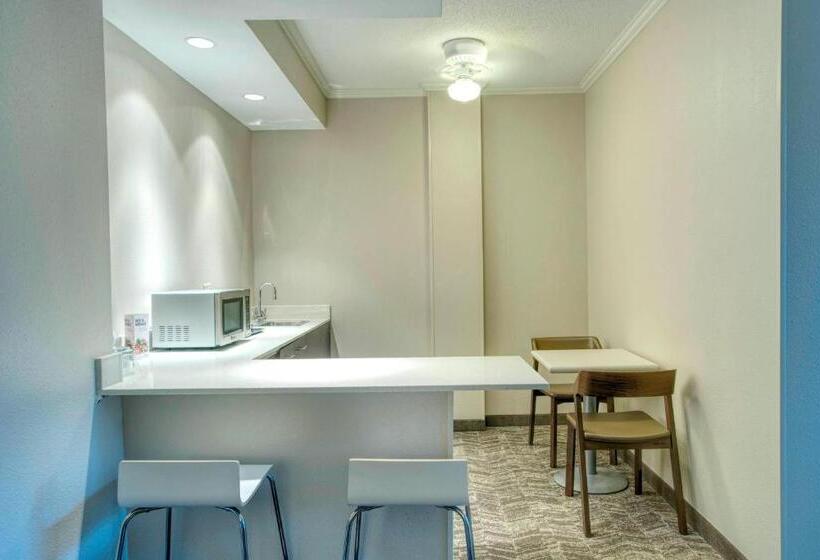 سوئیت با تخت بزرگ, Springhill Suites By Marriott Lawrence Downtown
