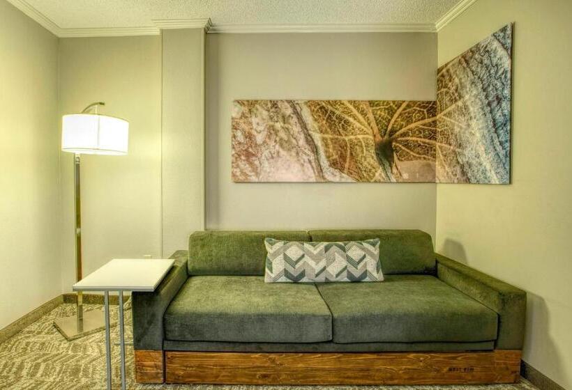 سوئیت با تخت بزرگ, Springhill Suites By Marriott Lawrence Downtown