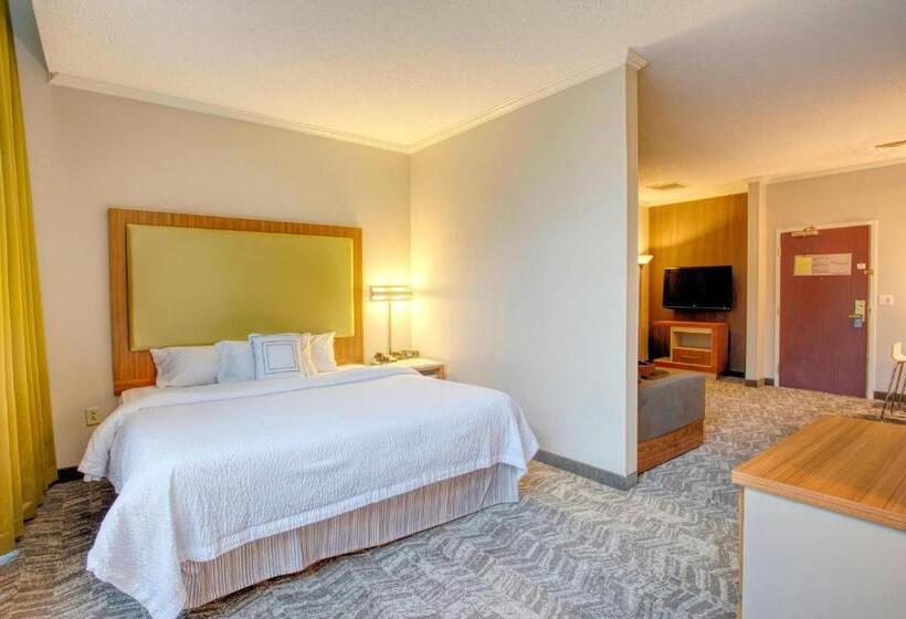 سوئیت با تخت بزرگ, Springhill Suites By Marriott Lawrence Downtown