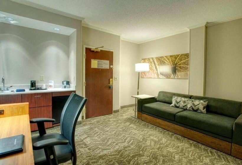 سوییت, Springhill Suites By Marriott Lawrence Downtown