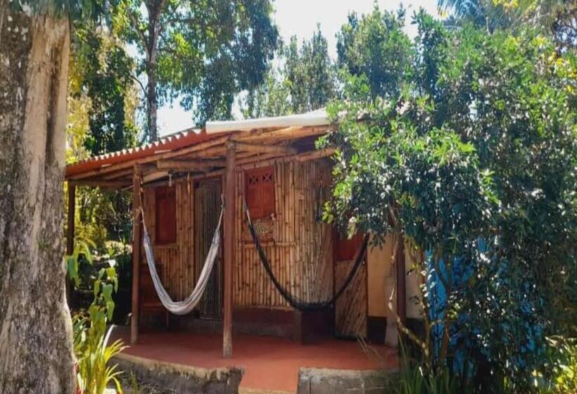 패밀리 룸, Hostal Familiar El ángel Panamá B&b