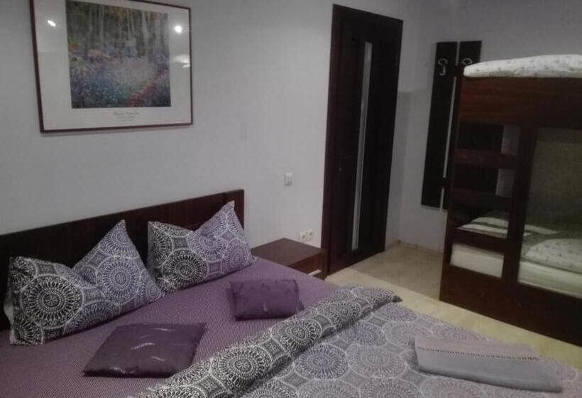 Номер Стандарт Четырехместный Совместный Санузел, Casa De Vacanta Silvia Varmaga