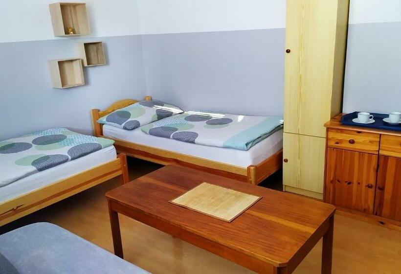 اتاق استاندارد سه تخته با سرویس بهداشتی مشترک, Ubytování Velký Týnec 376