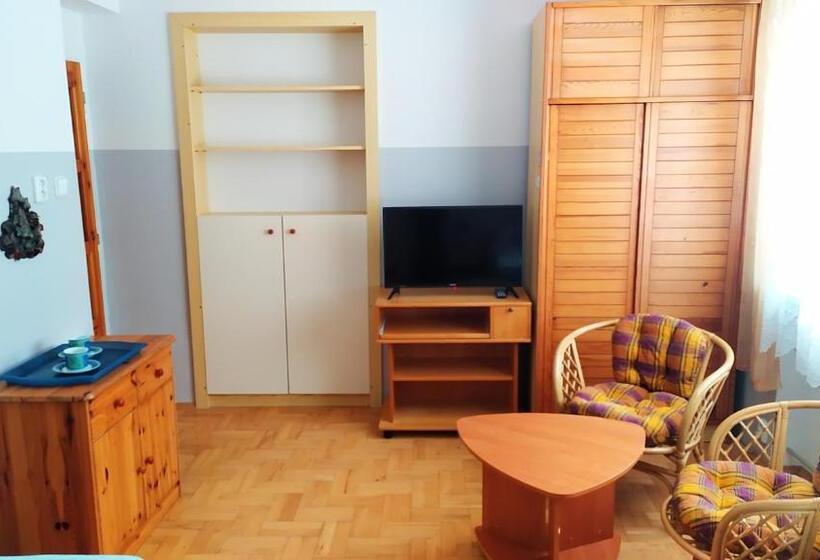 اتاق استاندارد با سرویس بهداشتی مشترک, Ubytování Velký Týnec 376