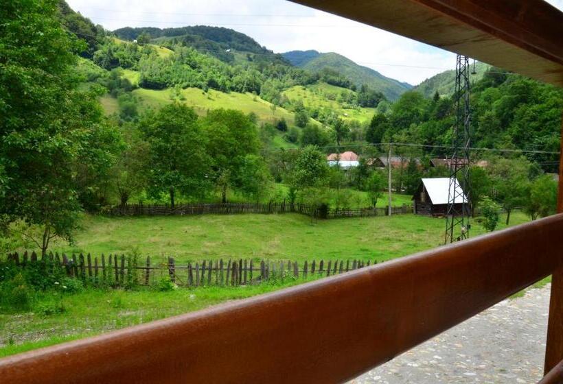 Номер Стандарт, Pensiunea Valea Pinului