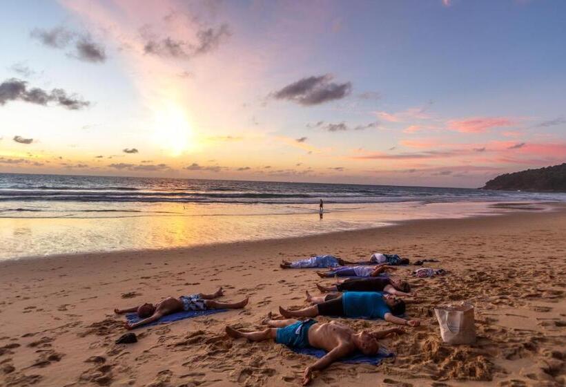 Номер Deluxe Одноместный, Thelifeco Wellbeing Phuket Detox Center And Vegan Hotel   Sha Plus