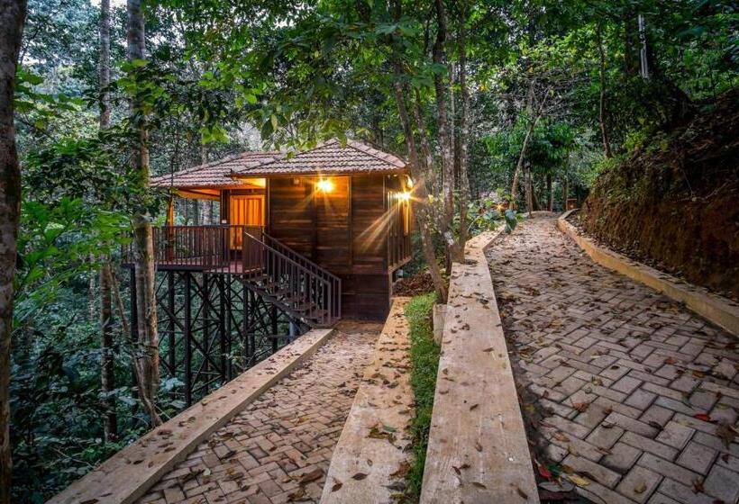 Номер Стандарт, Wild Planet Jungle Resort