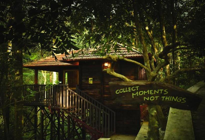 Номер Стандарт, Wild Planet Jungle Resort