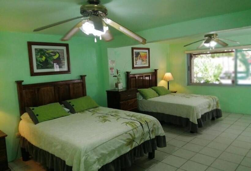 اتاق استاندارد با چشم‌انداز باغ, Freedom Shores La Gringa Hotel   Universally Designed