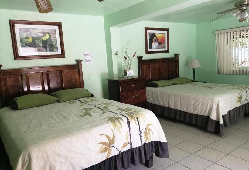 اتاق استاندارد با چشم‌انداز باغ, Freedom Shores La Gringa Hotel   Universally Designed