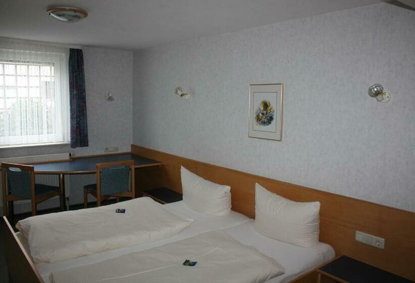 Номер Economy, Schwarzer Adler   Hotel Garni
