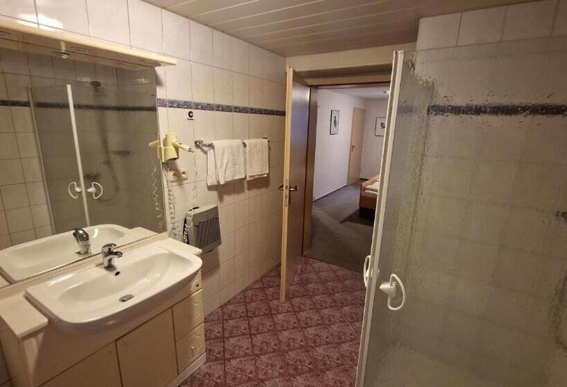 Номер Economy, Schwarzer Adler   Hotel Garni