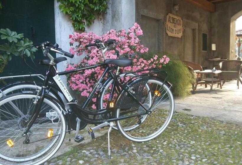 Апартаменты с 1 спальней, смежные, B&b Leon D'oro