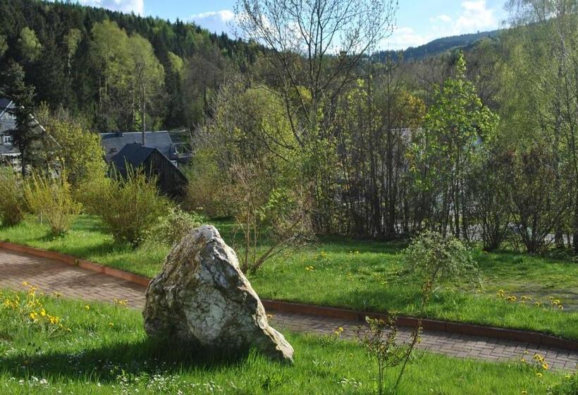 Апартаменты 1 Спальня, Gasthof & Pension Brettmühle