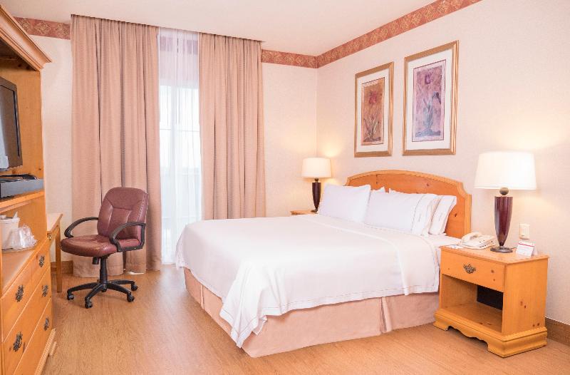 اتاق استاندارد با تخت بزرگ, Holiday Inn Express Silao Aeropuerto Bajio, An Ihg
