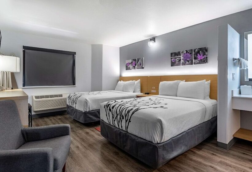 Номер Стандарт 2 Двуспальные Кровати, Sleep Inn & Suites