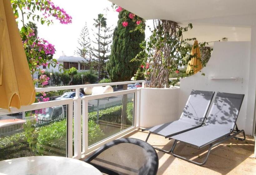 １ベッドルームアパートメント, Apartamentos Montemayor