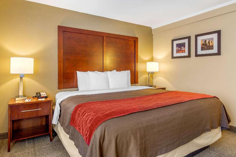 스탠다드 룸 킹사이즈 침대, Comfort Inn Denver Central