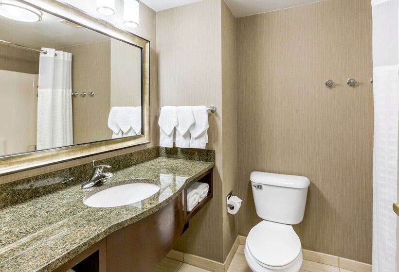 Люкс, Comfort Inn & Suites Logan International Airport