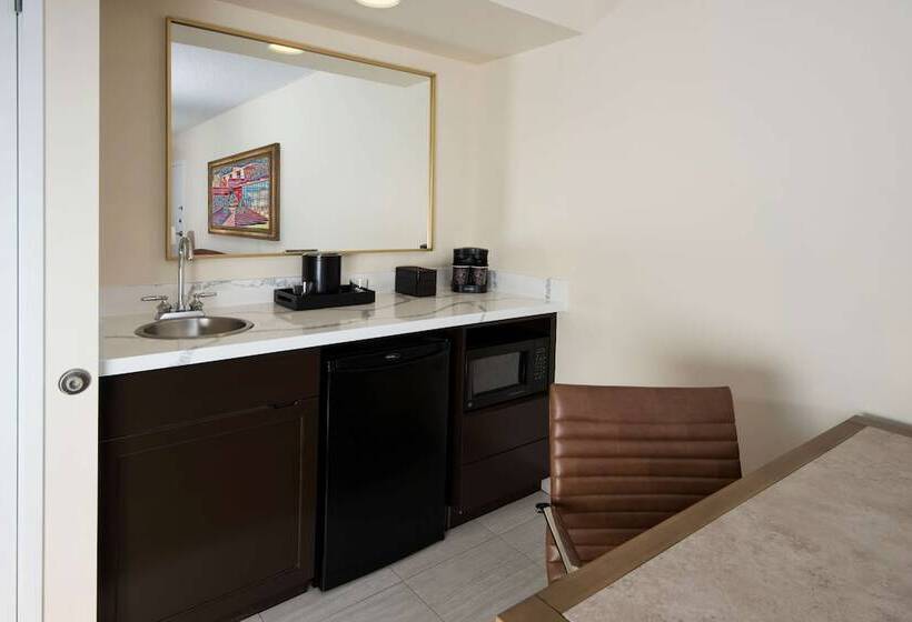 Люкс, Embassy Suites By Hilton Phoenix Scottsdale