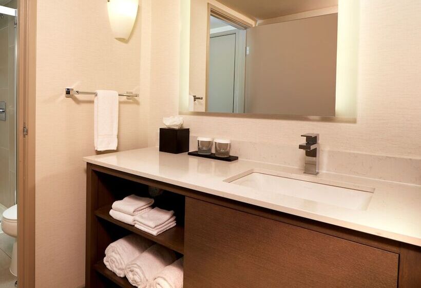 Люкс, Embassy Suites By Hilton Phoenix Scottsdale