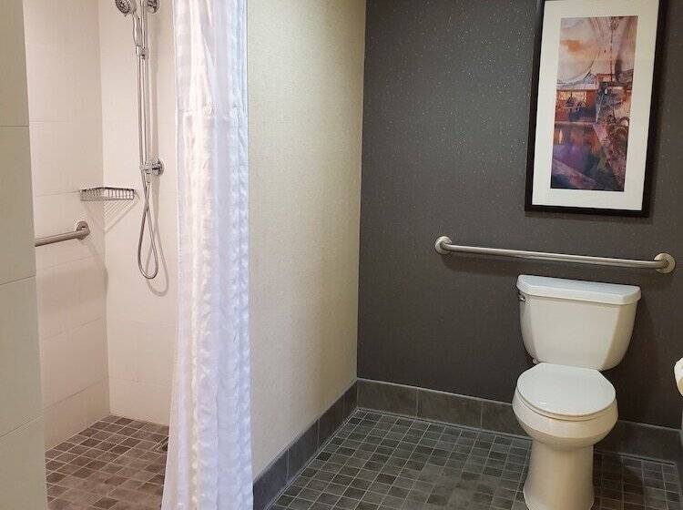 Люкс Адаптированный для Инвалидов, Embassy Suites By Hilton Phoenix Scottsdale